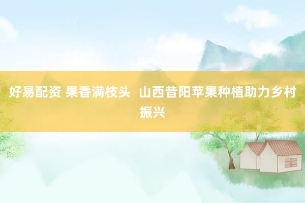 好易配资 果香满枝头  山西昔阳苹果种植助力乡村振兴