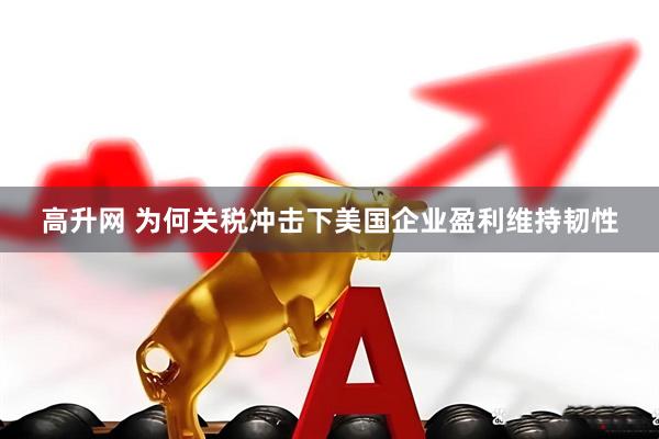高升网 为何关税冲击下美国企业盈利维持韧性