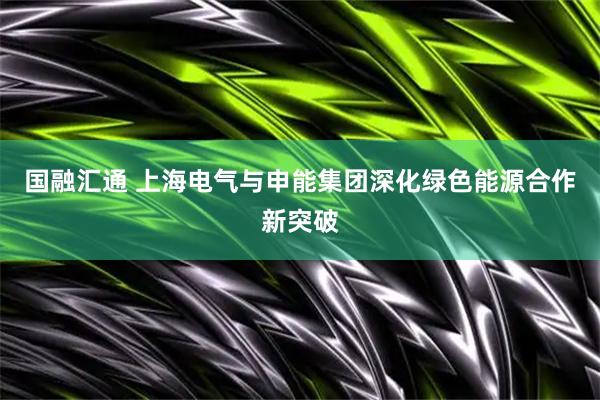 国融汇通 上海电气与申能集团深化绿色能源合作新突破