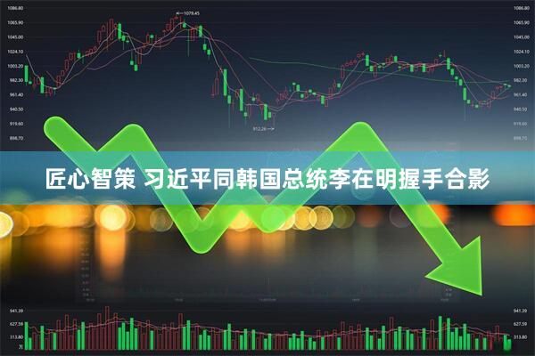 匠心智策 习近平同韩国总统李在明握手合影
