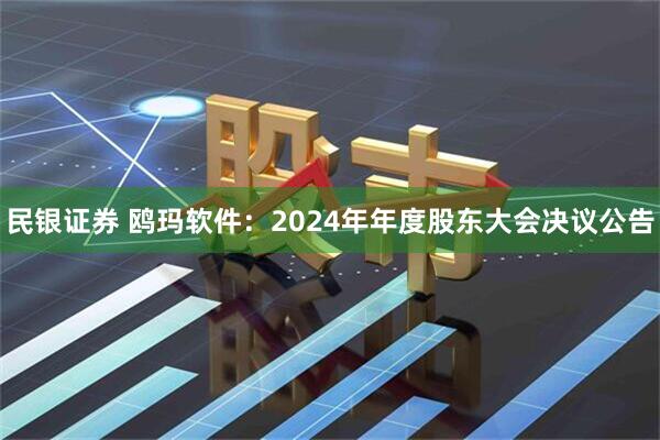 民银证券 鸥玛软件：2024年年度股东大会决议公告