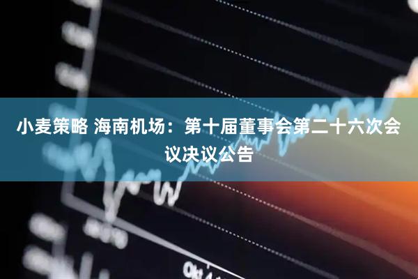 小麦策略 海南机场：第十届董事会第二十六次会议决议公告