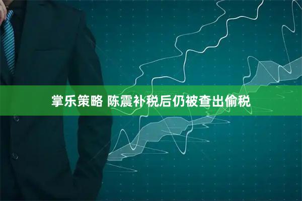 掌乐策略 陈震补税后仍被查出偷税