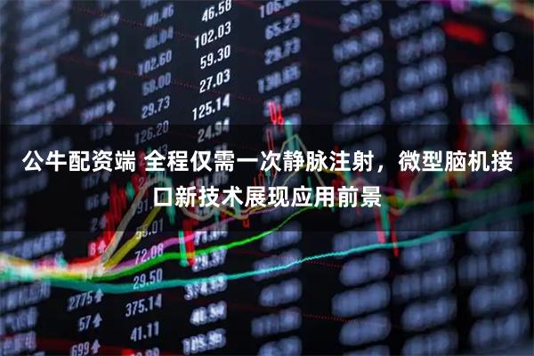 公牛配资端 全程仅需一次静脉注射，微型脑机接口新技术展现应用前景