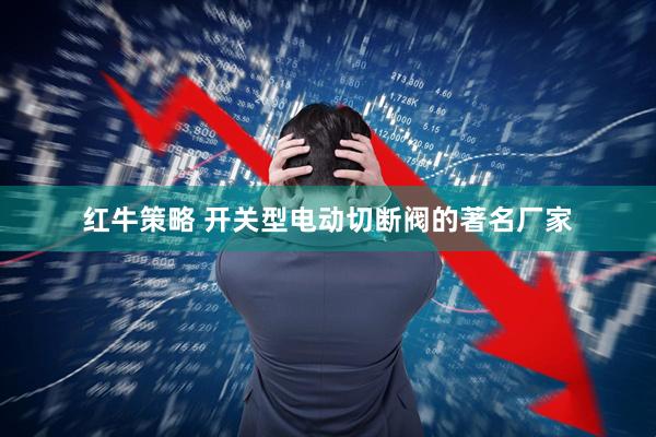 红牛策略 开关型电动切断阀的著名厂家